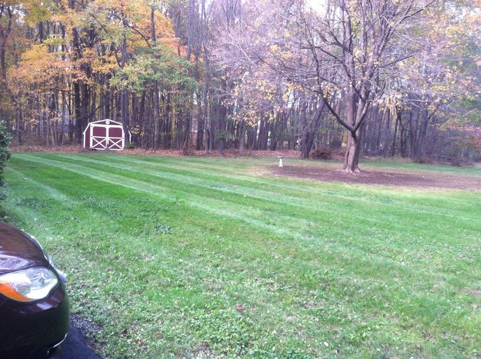 Leaf Pickup & Fall Cleanup — Caldwell Landscaping